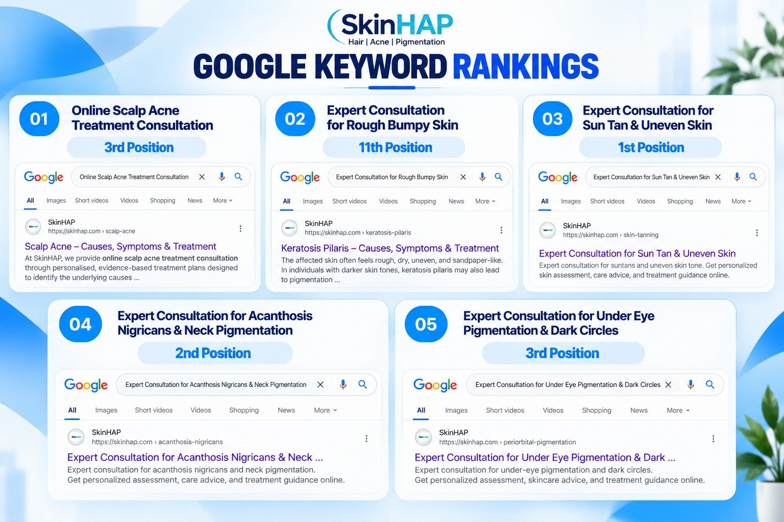 SkinHAP Google Keyword Rankings Matrix Proof